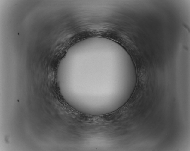 X0000099401061200805221850