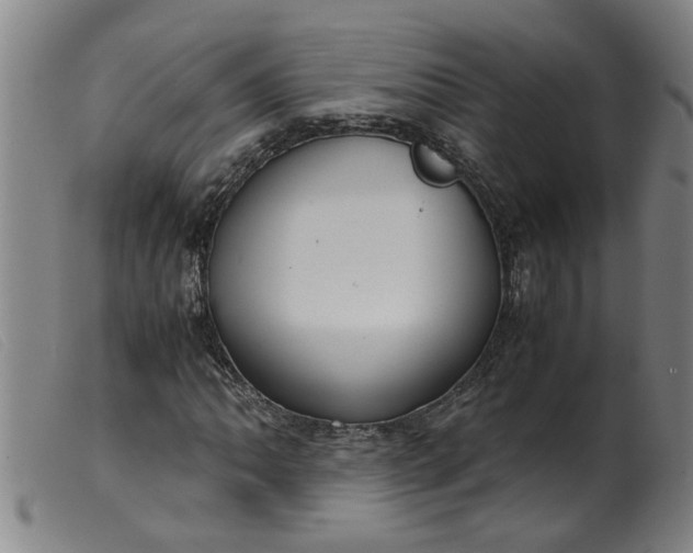 X0000099401062200805221850