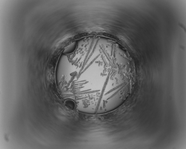 X0000099401063200805221850