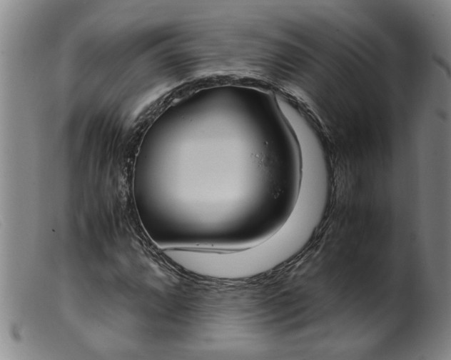 X0000099401064200805221850