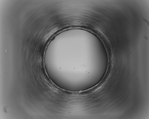 X0000099401065200805221850