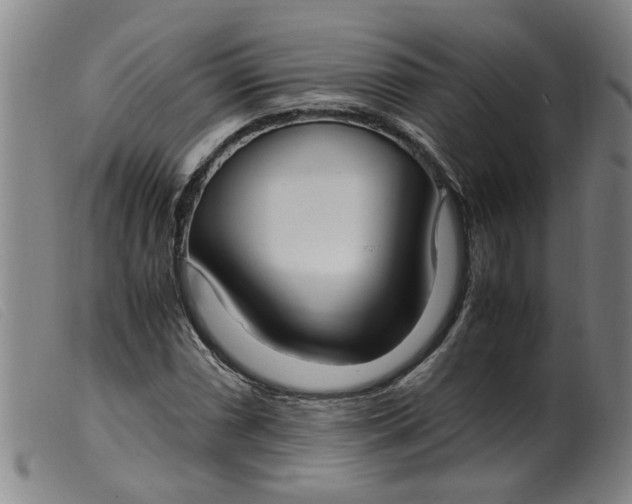 X0000099401066200805221850