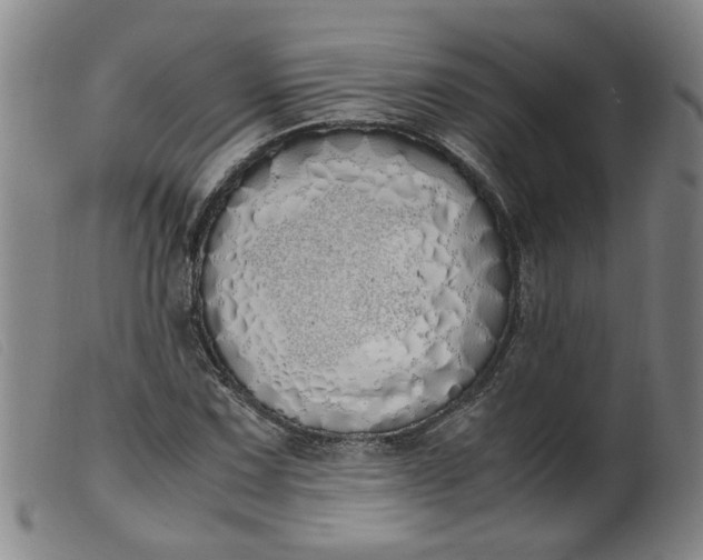 X0000099401067200805221850