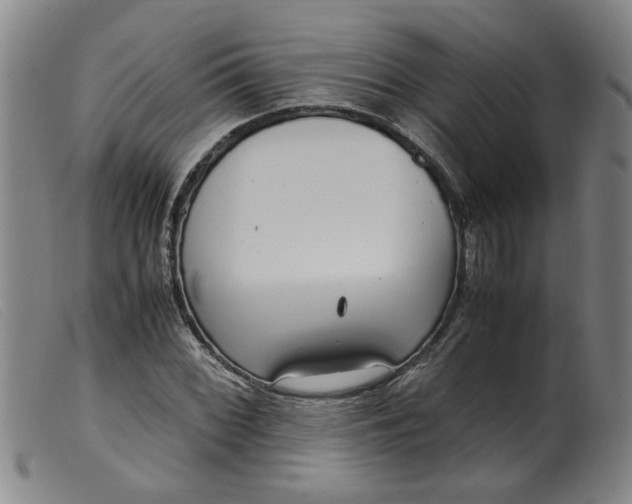 X0000099401068200805221850