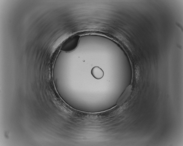 X0000099401069200805221850