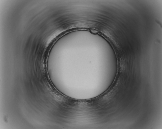 X0000099401070200805221850