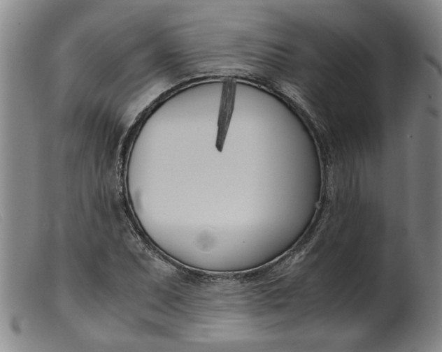 X0000099401071200805221850