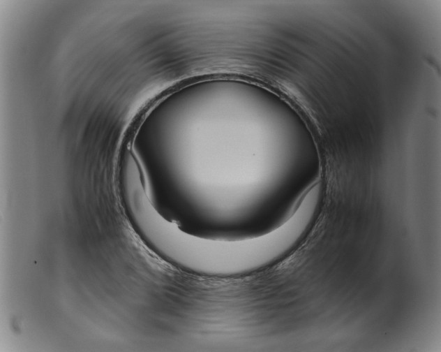 X0000099401072200805221850