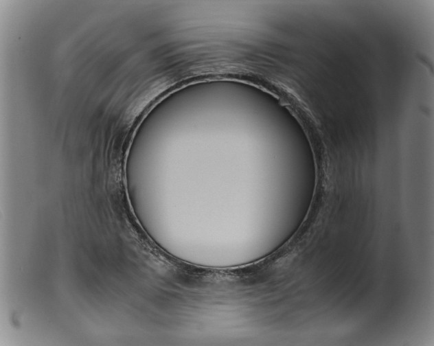 X0000099401073200805221850