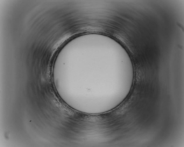 X0000099401074200805221850