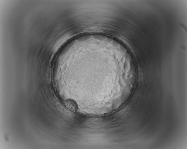 X0000099401075200805221850