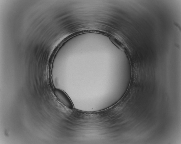 X0000099401076200805221850