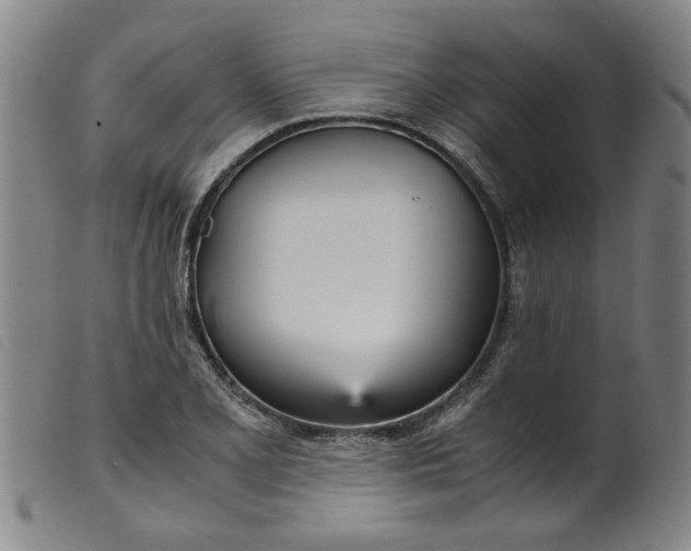 X0000099401077200805221850