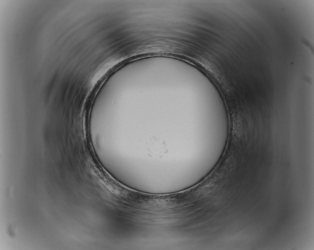 X0000099401078200805221850