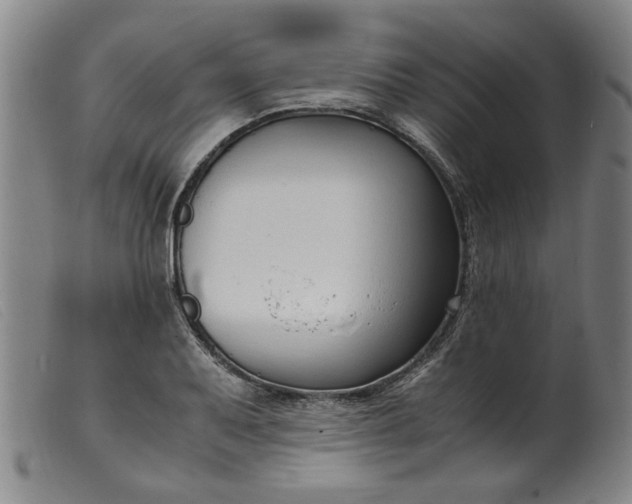 X0000099401079200805221850