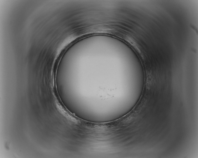 X0000099401080200805221850