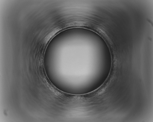 X0000099401081200805221850