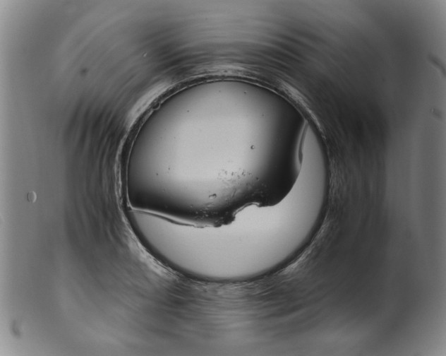 X0000099401082200805221850