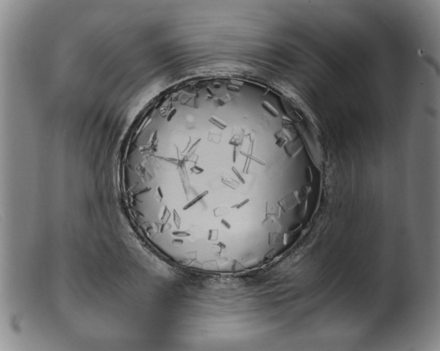 X0000099401083200805221850