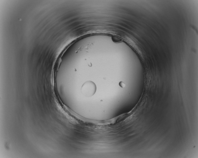 X0000099401084200805221850