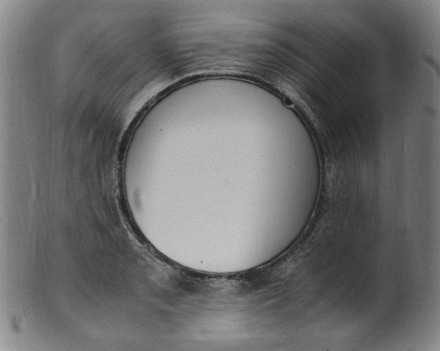 X0000099401085200805221850