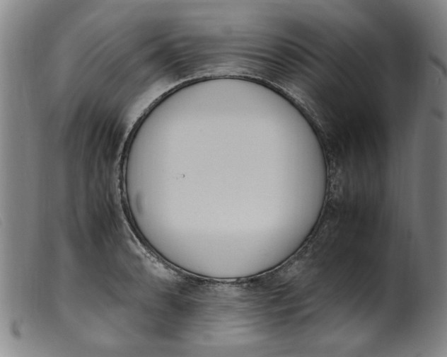 X0000099401086200805221850