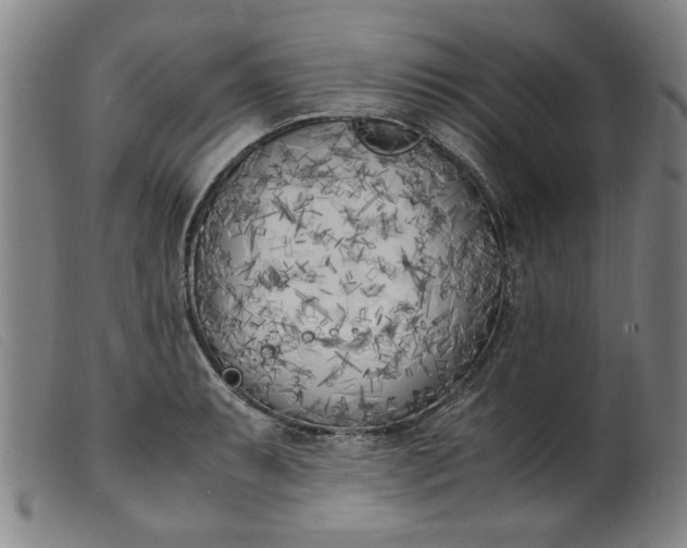 X0000099401087200805221850