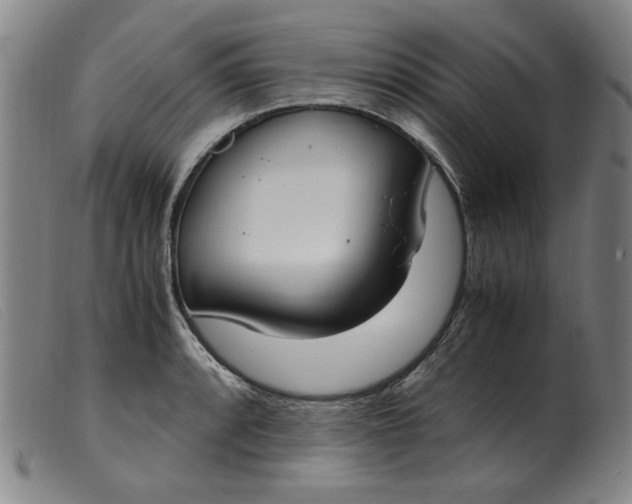 X0000099401088200805221850