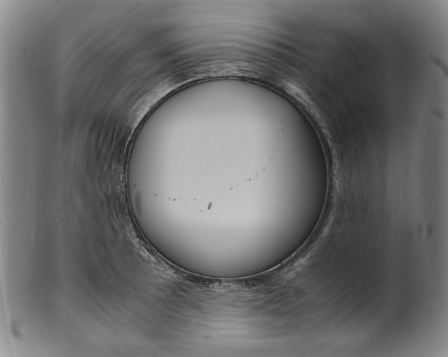 X0000099401089200805221850