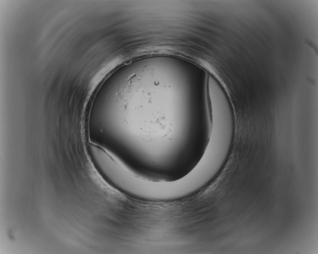 X0000099401090200805221850