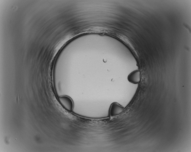 X0000099401091200805221850