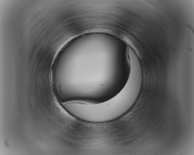 X0000099401092200805221850