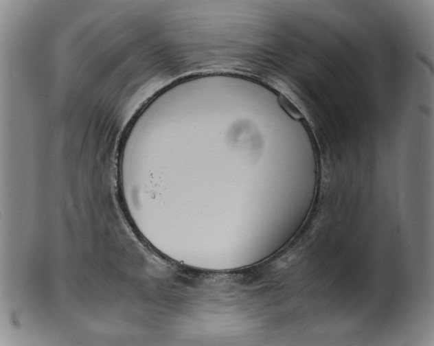 X0000099401093200805221850