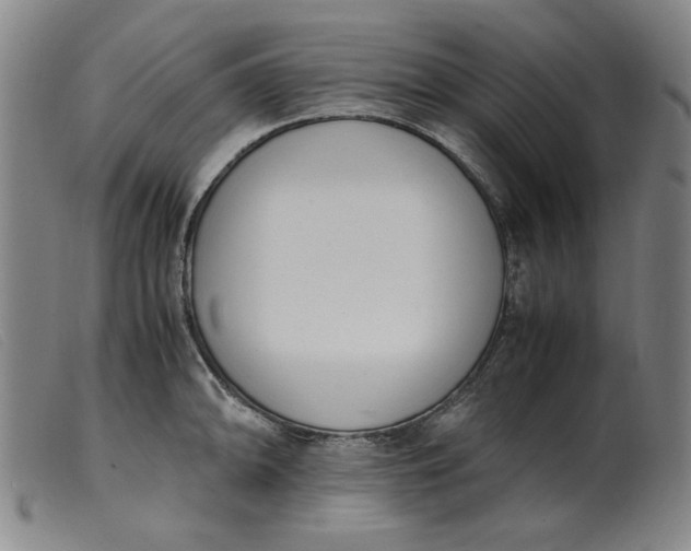 X0000099401094200805221850