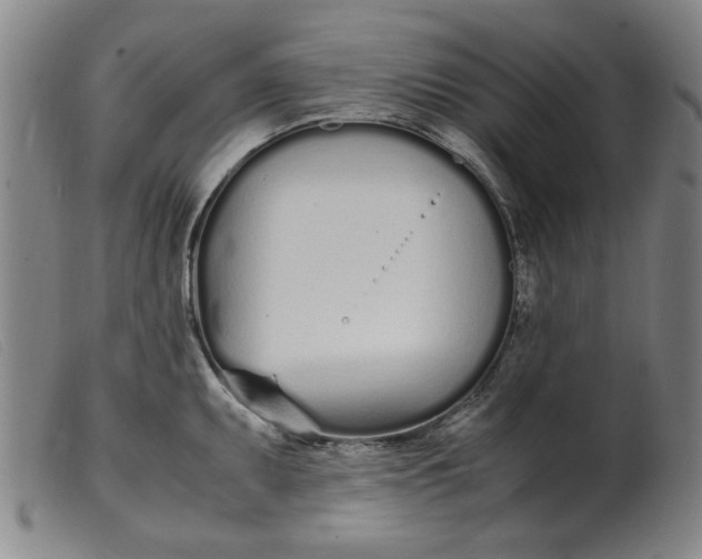 X0000099401095200805221850