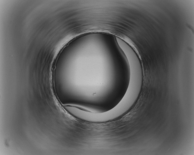 X0000099401096200805221850