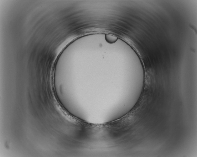 X0000099401098200805221850