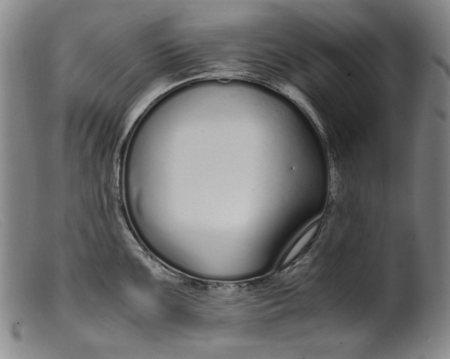 X0000099401099200805221850