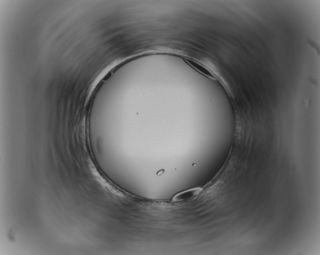 X0000099401100200805221850