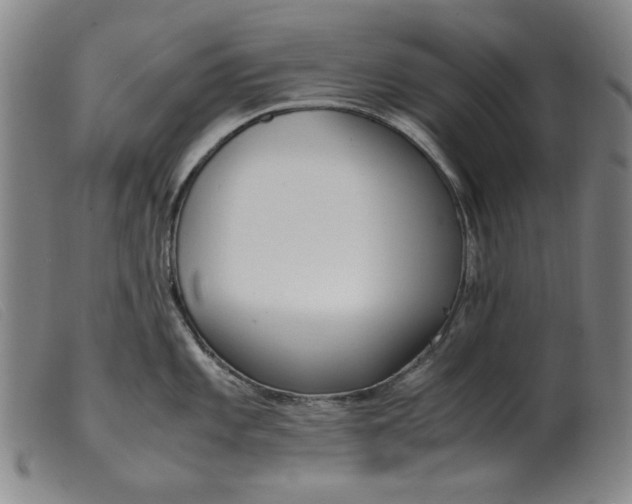 X0000099401101200805221850