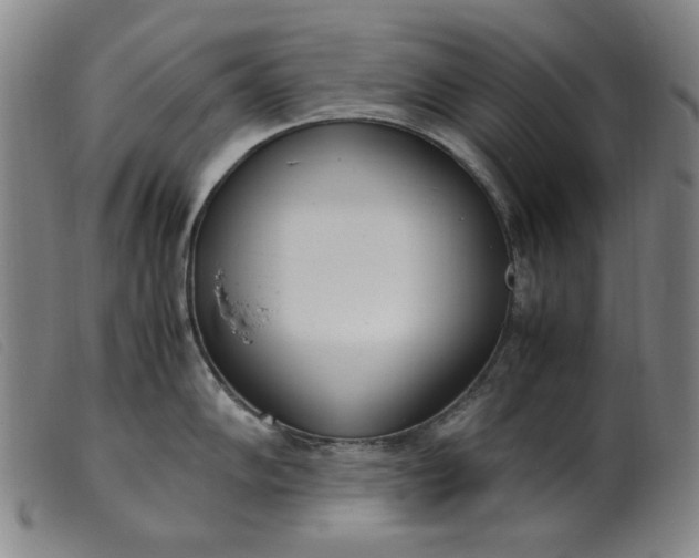 X0000099401102200805221850