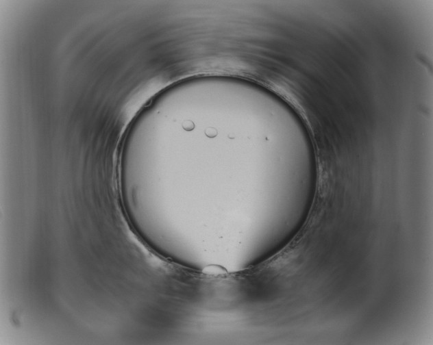 X0000099401103200805221850