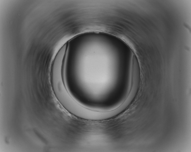 X0000099401104200805221850