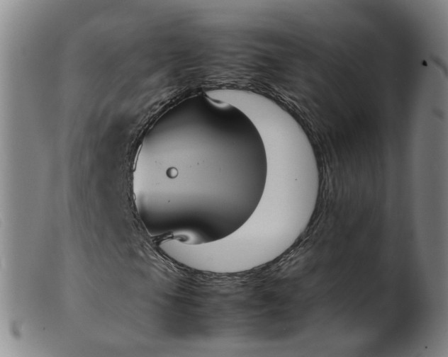 X0000099401105200805221849