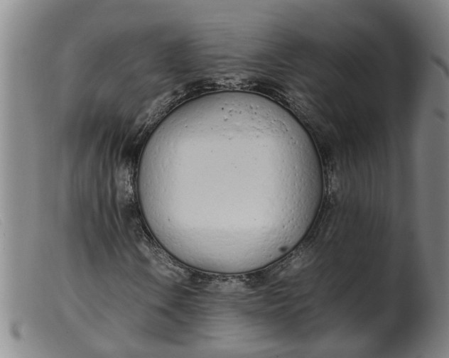 X0000099401106200805221849