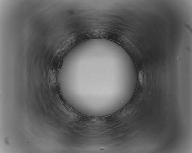 X0000099401107200805221849