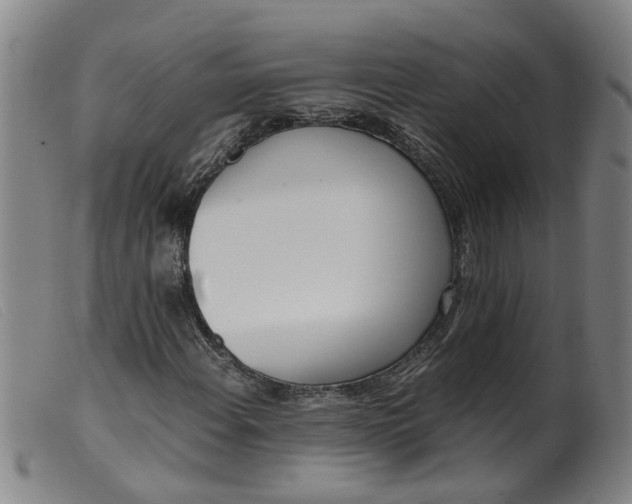 X0000099401108200805221849