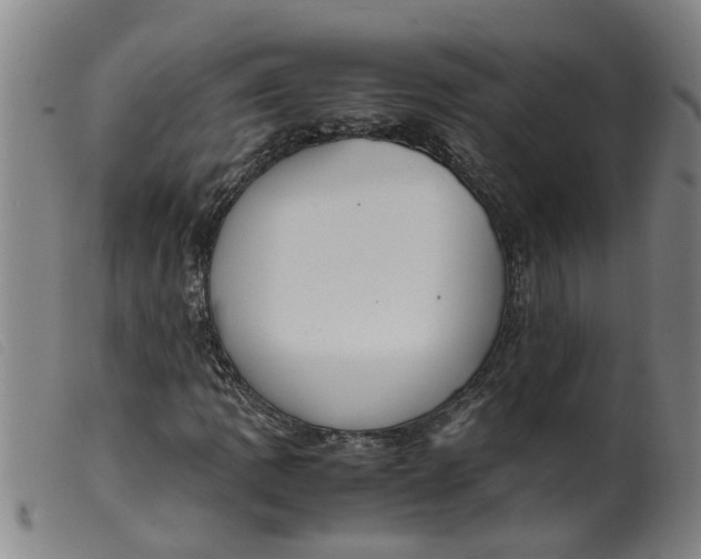 X0000099401109200805221849