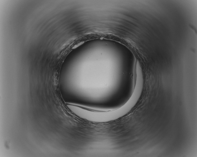 X0000099401110200805221849