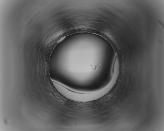 X0000099401111200805221849